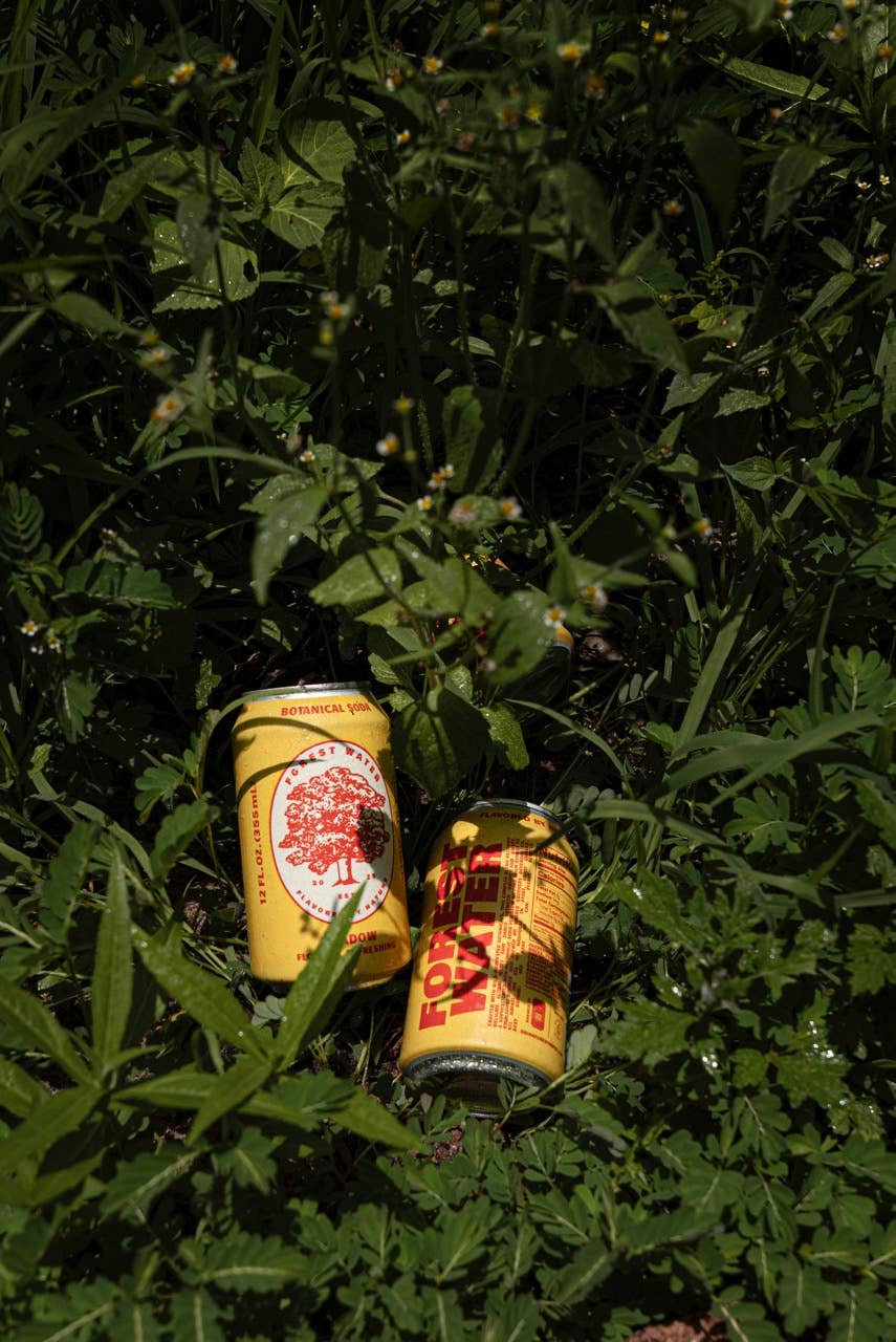 Meadow Forest Water | Non-Alcoholic Botanical Soda