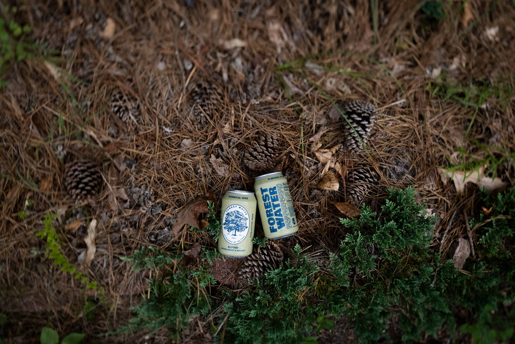 Alpine Forest Water | Non-Alcoholic Botanical Soda
