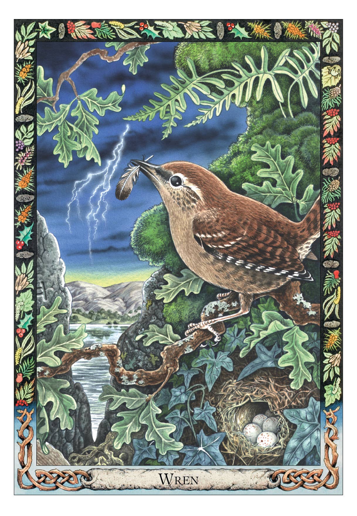 The Druid Animal Oracle Deck