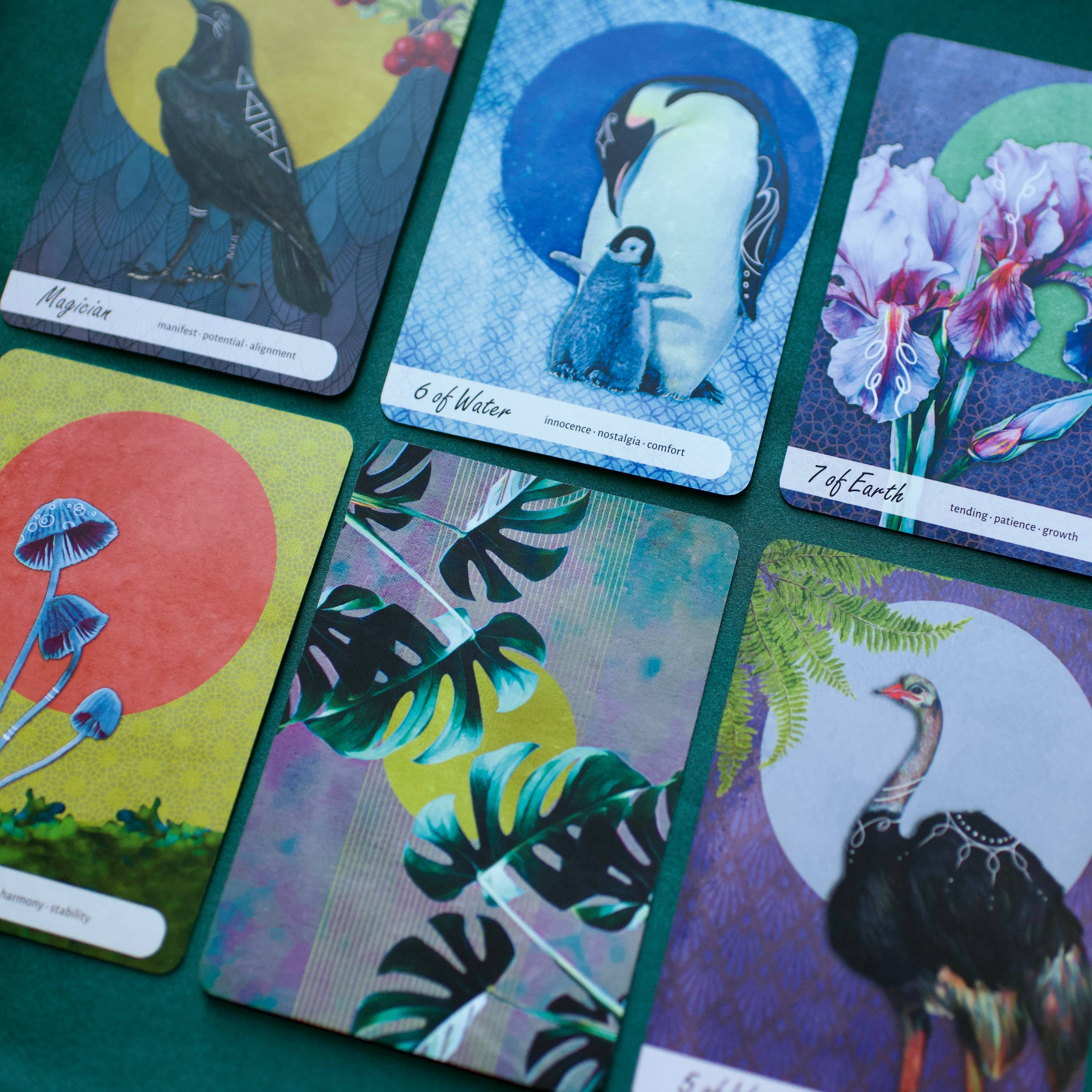 Wise Earth Medicine Tarot: 78 Cards & 96 Page Guidebook