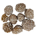 Desert Rose