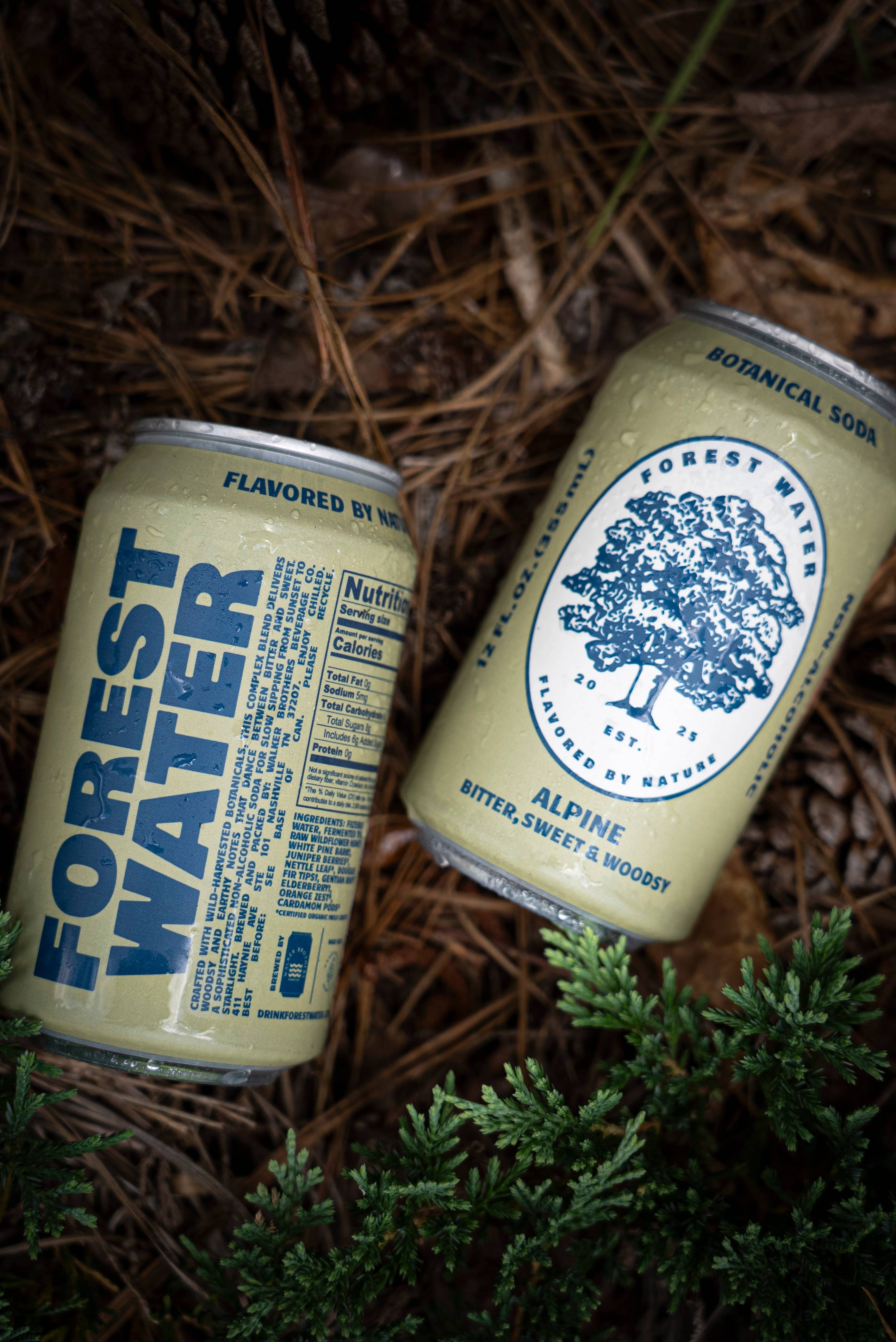 Alpine Forest Water | Non-Alcoholic Botanical Soda