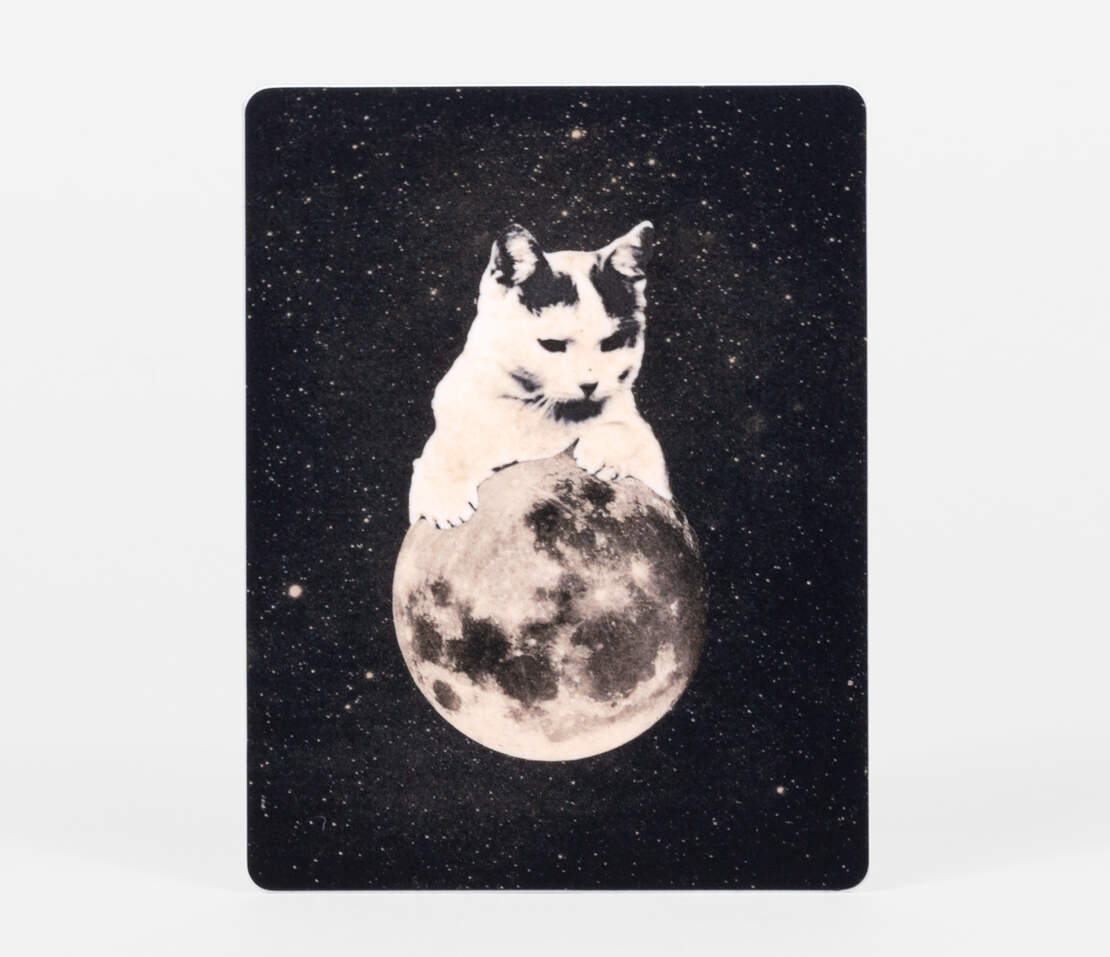Moon Disco Cat Sticker
