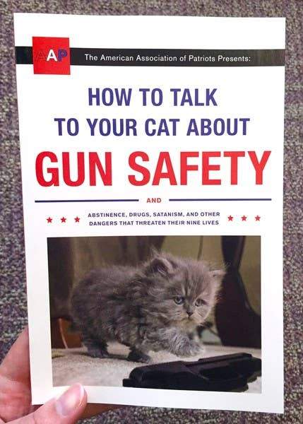 How to Talk to Your Cat About Gun Safety: And Abstinence