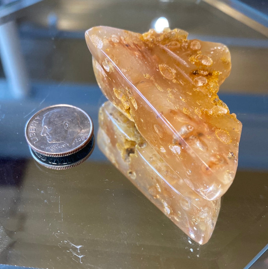 Amber with insects