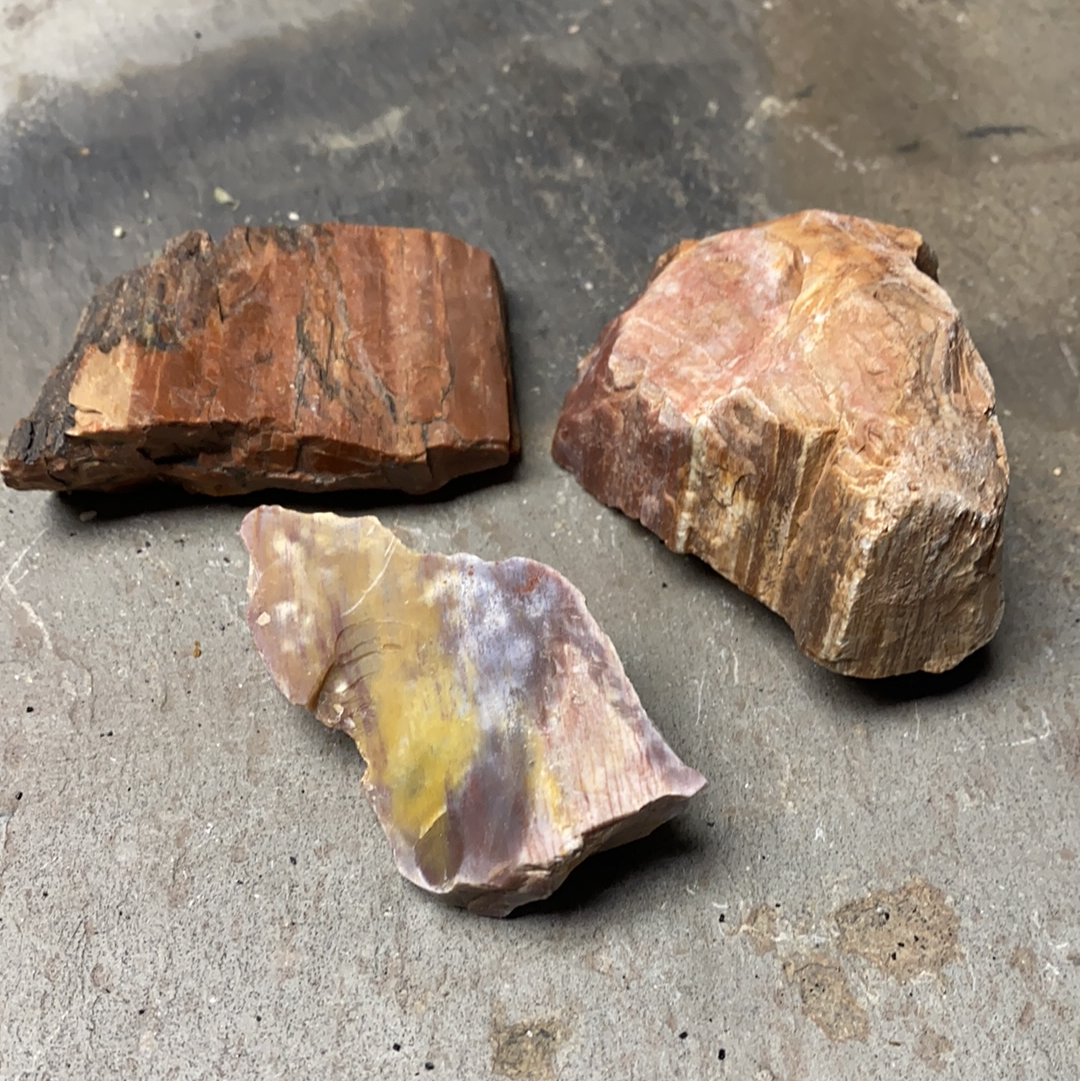 Raw Petrified Wood
