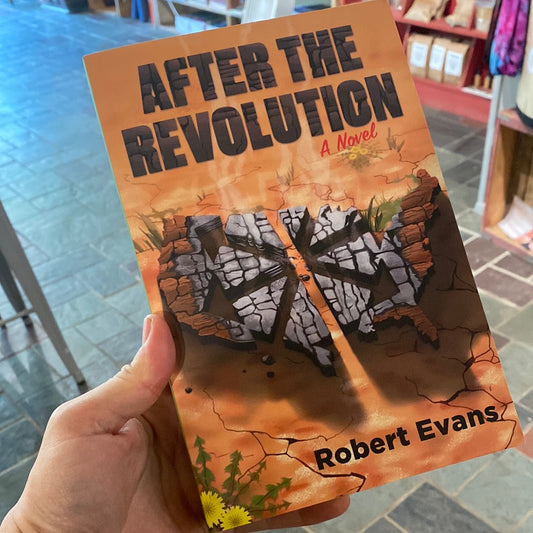 After the Revolution: A Novel
