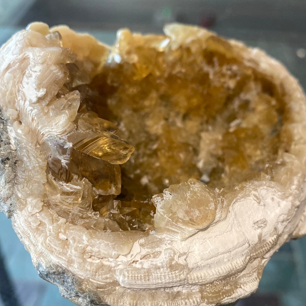 Calcite in Clam Fossil