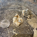 Pyrite with Hexagonal Calcite
