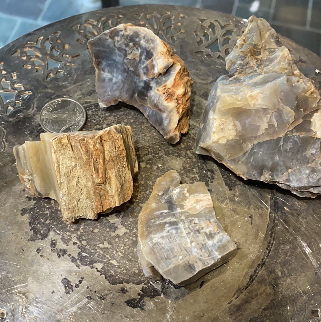 Raw Petrified Wood (Utah)