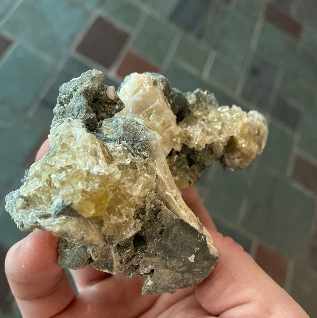 Calcite Clam Fossil
