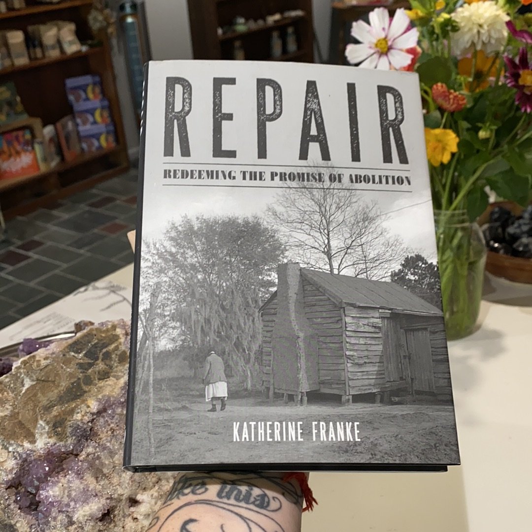Repair Redeeming the Promise of Abolition