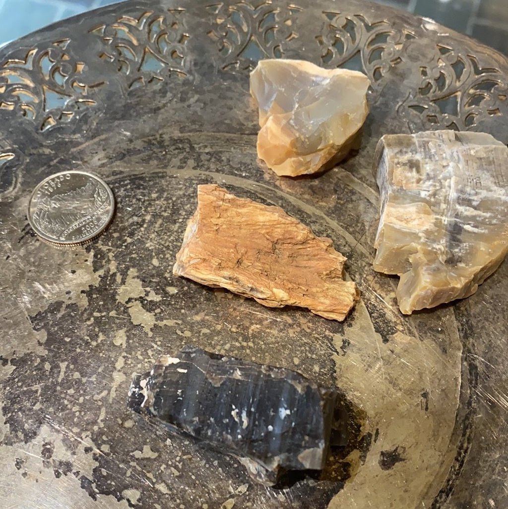 Raw Petrified Wood (Utah)