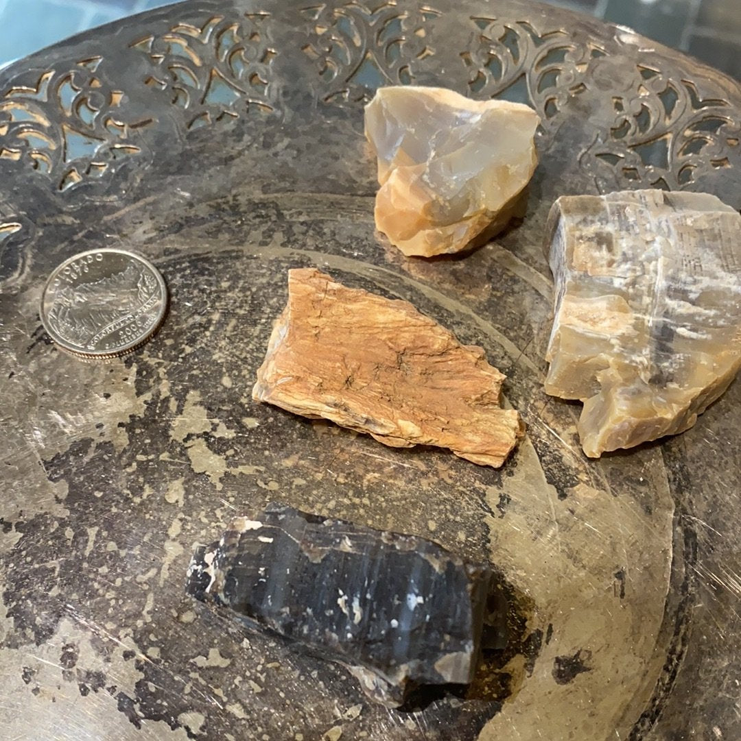 Raw Petrified Wood (Utah)