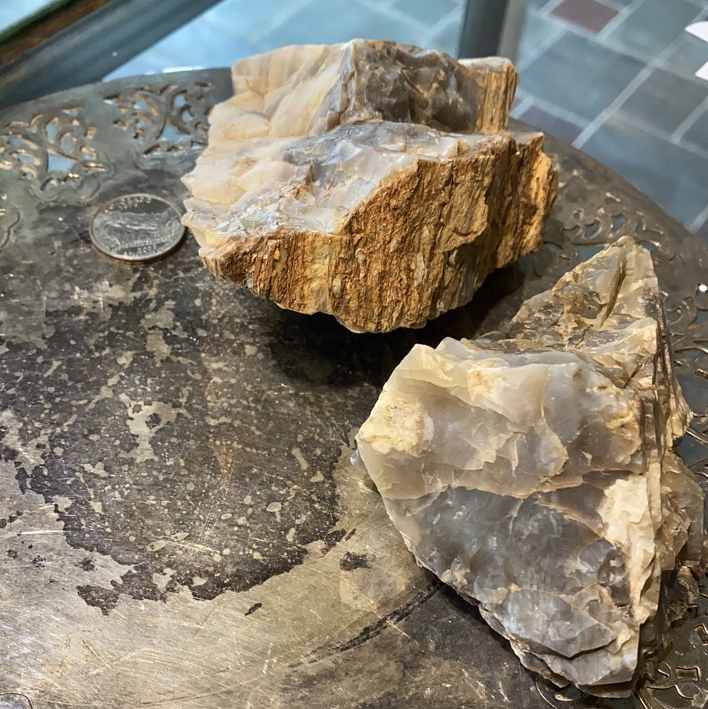 Raw Petrified Wood (Utah)