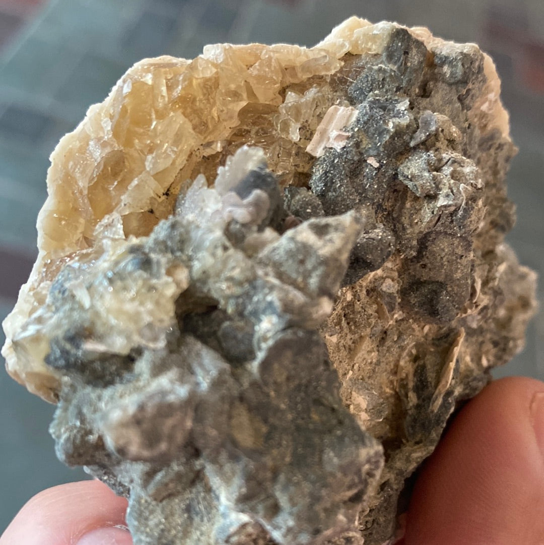Calcite Clam Fossil