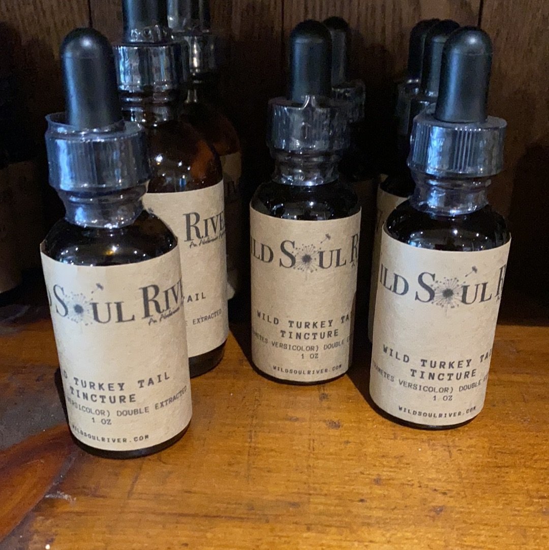 Wild Turkey Tail Tincture