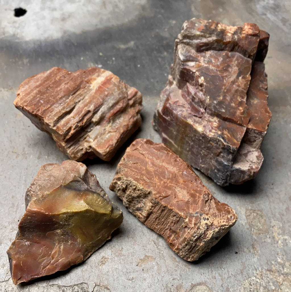 Raw Petrified Wood