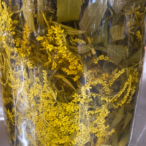 Allergy Help - Goldenrod Nettle Oxymel