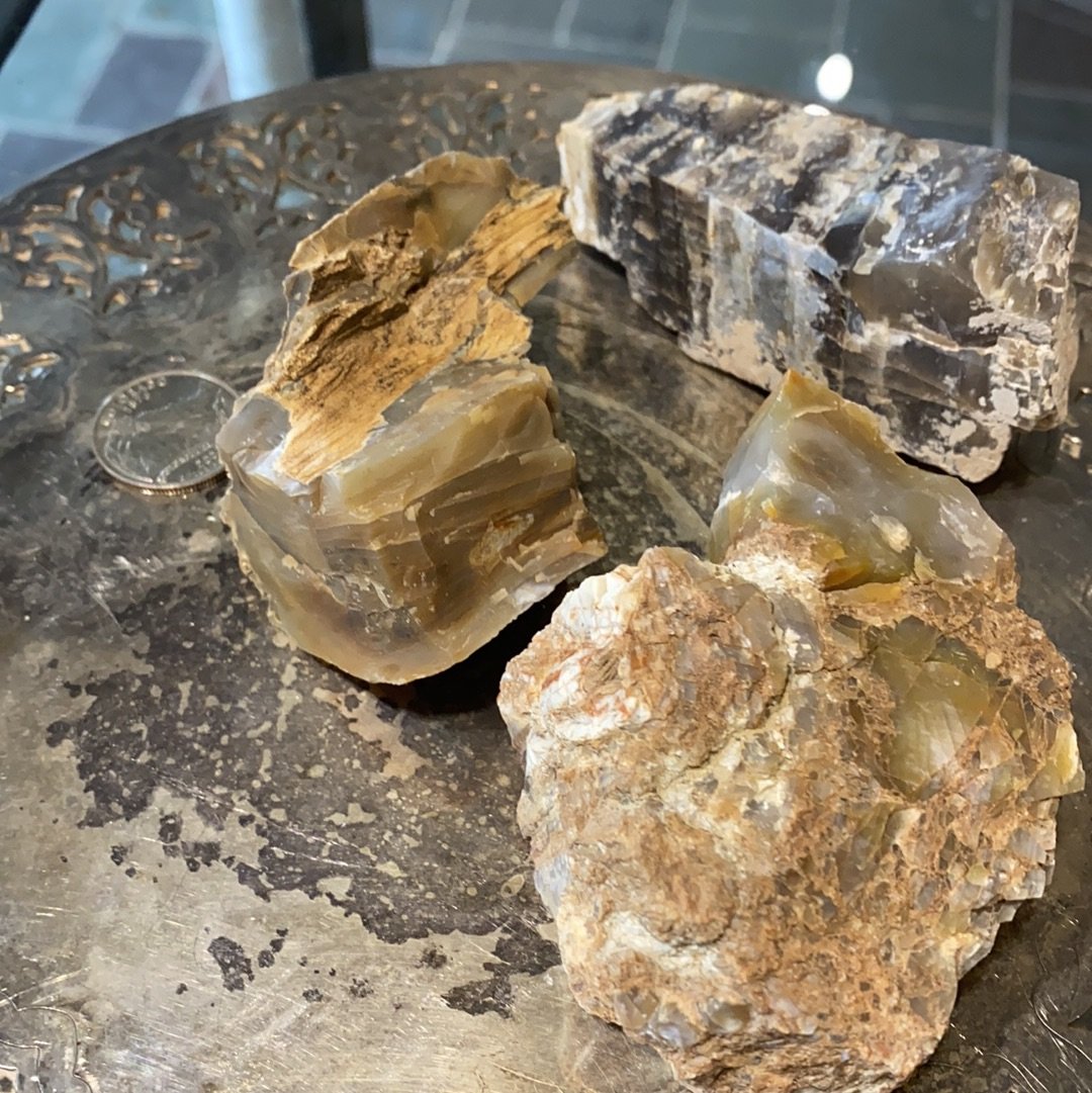 Raw Petrified Wood (Utah)